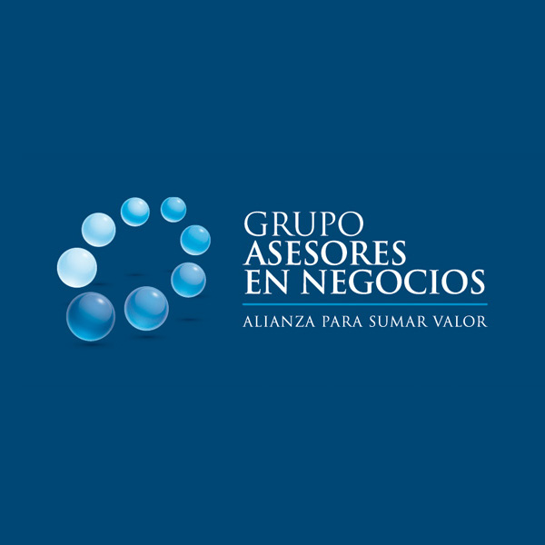 Asesneg Grupo Asesores En Negocios